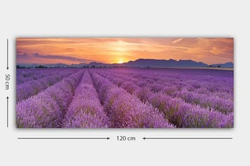 Canvasbilde YTY Floral & Botanical Flerfarget - 120x50 cm - Interiør - Maleri & posters - Lerretsbilder