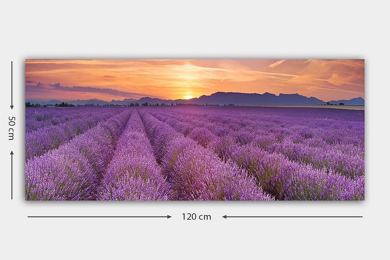 Canvasbilde YTY Floral & Botanical Flerfarget - 120x50 cm - Interiør - Maleri & posters - Lerretsbilder