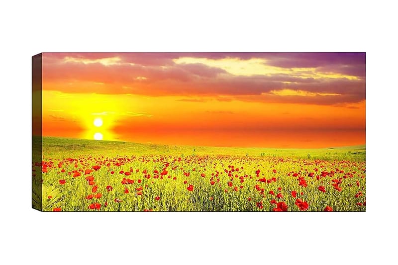 Canvasbilde YTY Floral & Botanical Flerfarget - 120x50 cm - Interiør - Maleri & posters - Lerretsbilder