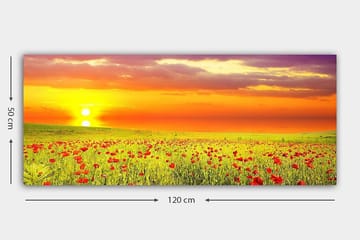 Canvasbilde YTY Floral & Botanical Flerfarget - 120x50 cm - Interiør - Maleri & posters - Lerretsbilder