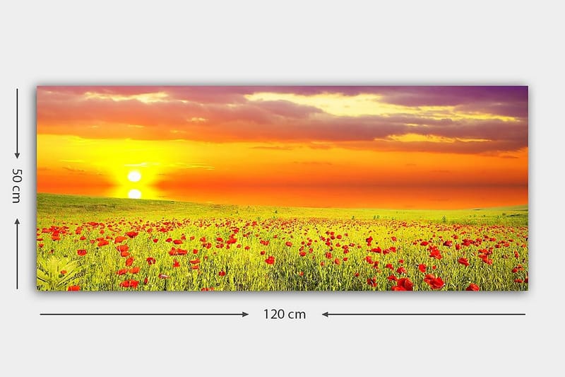 Canvasbilde YTY Floral & Botanical Flerfarget - 120x50 cm - Interiør - Maleri & posters - Lerretsbilder