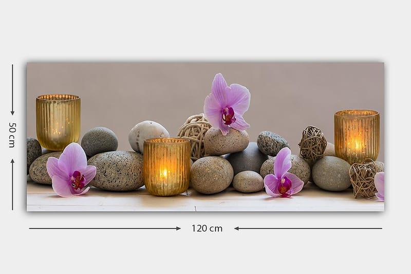Canvasbilde YTY Floral & Botanical Flerfarget - 120x50 cm - Interiør - Maleri & posters - Lerretsbilder