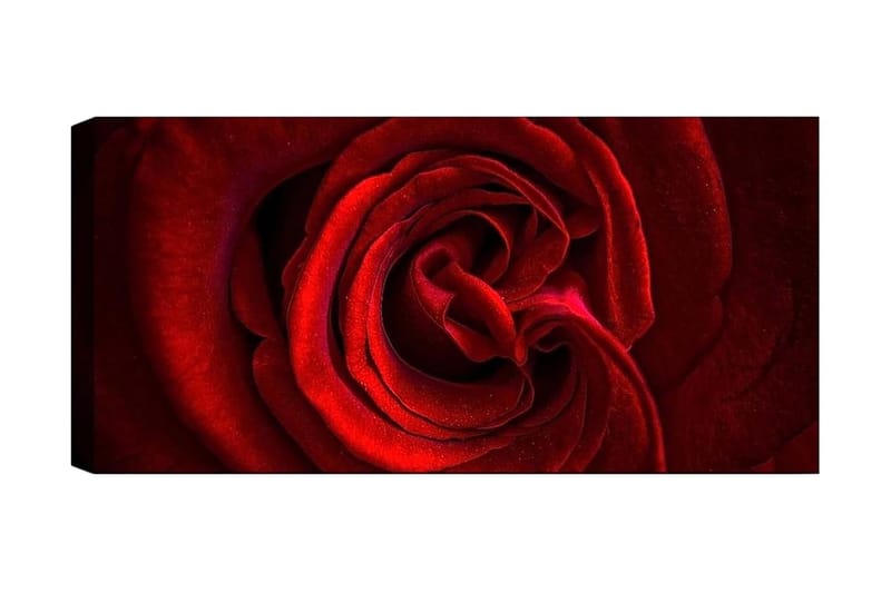 Canvasbilde YTY Floral & Botanical Flerfarget - 120x50 cm - Interiør - Maleri & posters - Lerretsbilder