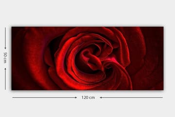 Canvasbilde YTY Floral & Botanical Flerfarget - 120x50 cm - Interiør - Maleri & posters - Lerretsbilder