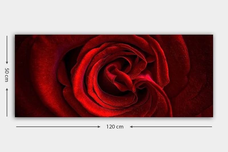Canvasbilde YTY Floral & Botanical Flerfarget - 120x50 cm - Interiør - Maleri & posters - Lerretsbilder