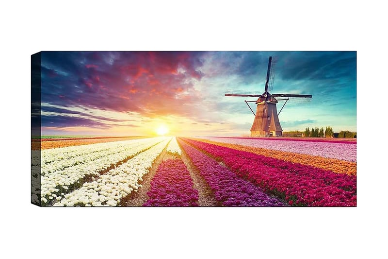 Canvasbilde YTY Floral & Botanical Flerfarget - 120x50 cm - Interiør - Maleri & posters - Lerretsbilder