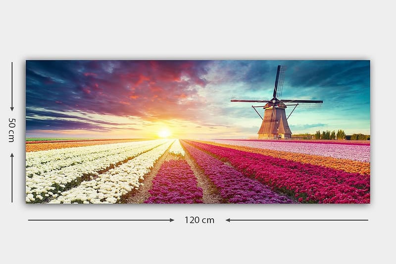 Canvasbilde YTY Floral & Botanical Flerfarget - 120x50 cm - Interiør - Maleri & posters - Lerretsbilder