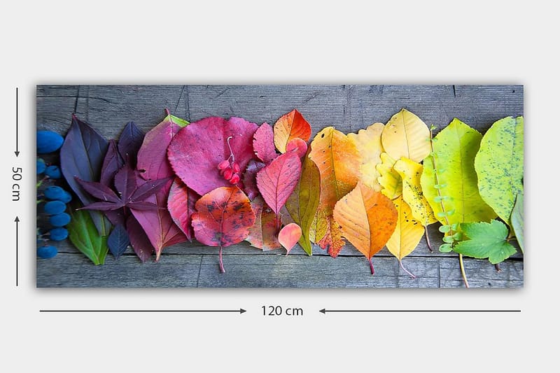Canvasbilde YTY Floral & Botanical Flerfarget - 120x50 cm - Interiør - Maleri & posters - Lerretsbilder