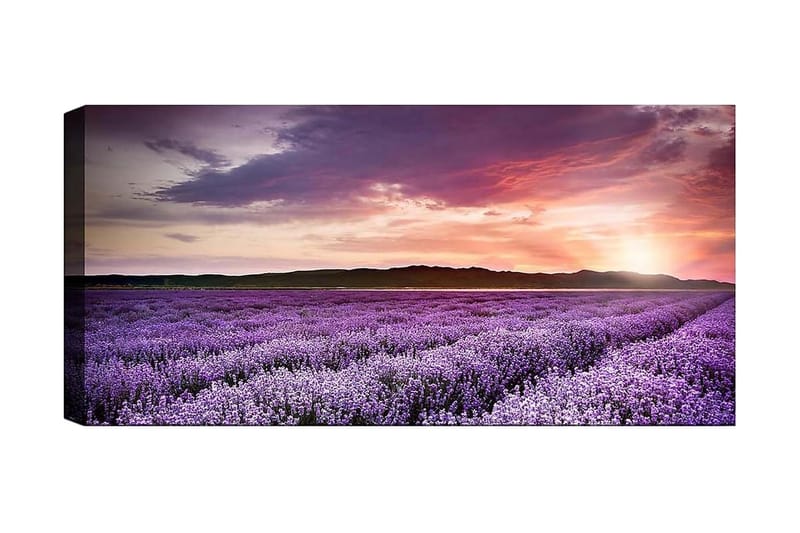 Canvasbilde YTY Floral & Botanical Flerfarget - 120x50 cm - Interiør - Maleri & posters - Lerretsbilder