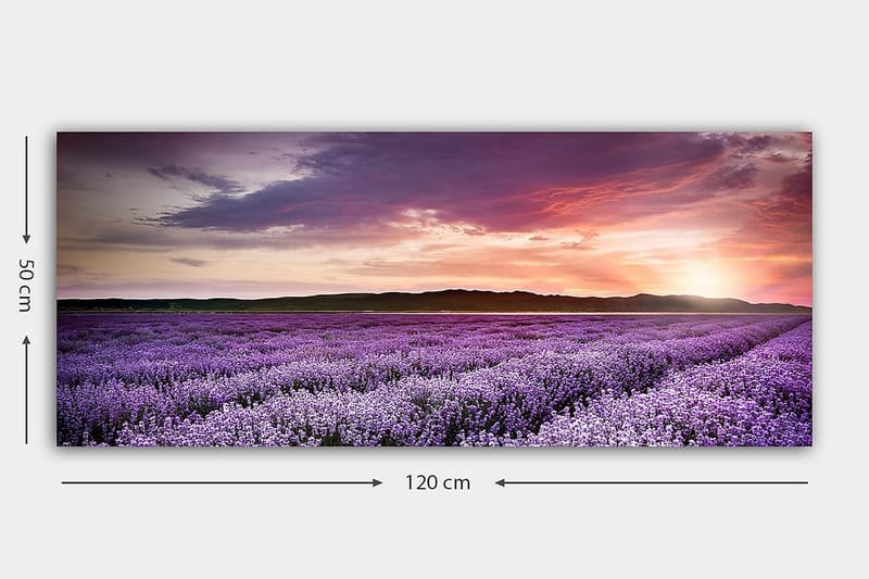 Canvasbilde YTY Floral & Botanical Flerfarget - 120x50 cm - Interiør - Maleri & posters - Lerretsbilder