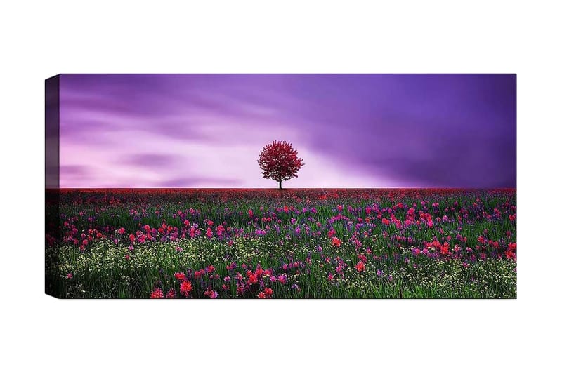 Canvasbilde YTY Floral & Botanical Flerfarget - 120x50 cm - Interiør - Maleri & posters - Lerretsbilder