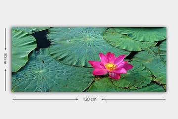 Canvasbilde YTY Floral & Botanical Flerfarget - 120x50 cm - Interiør - Maleri & posters - Lerretsbilder