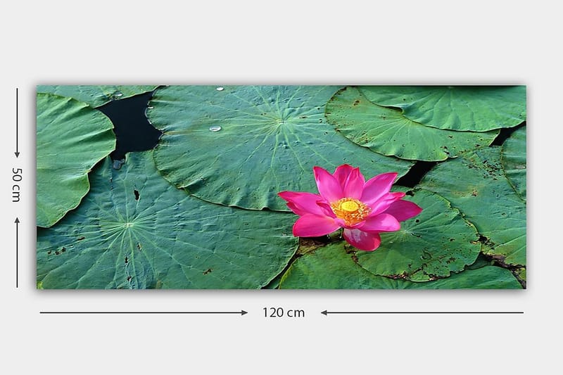 Canvasbilde YTY Floral & Botanical Flerfarget - 120x50 cm - Interiør - Maleri & posters - Lerretsbilder