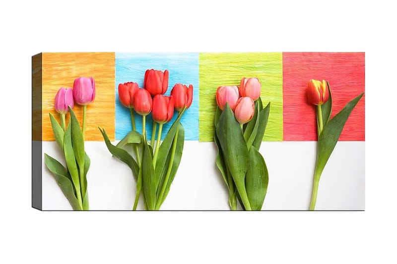 Canvasbilde YTY Floral & Botanical Flerfarget - 120x50 cm - Interiør - Maleri & posters - Lerretsbilder