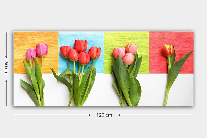 Canvasbilde YTY Floral & Botanical Flerfarget - 120x50 cm - Interiør - Maleri & posters - Lerretsbilder