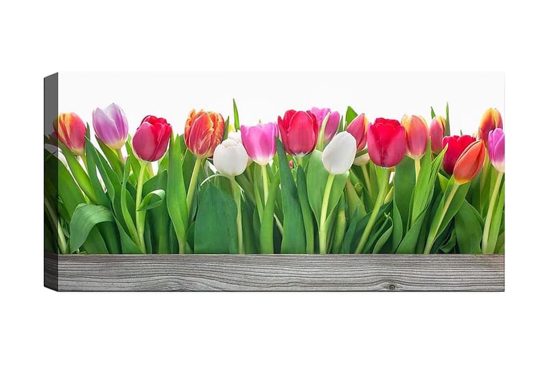 Canvasbilde YTY Floral & Botanical Flerfarget - 120x50 cm - Interiør - Maleri & posters - Lerretsbilder