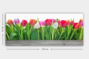 Canvasbilde YTY Floral & Botanical Flerfarget - 120x50 cm - Interiør - Maleri & posters - Lerretsbilder