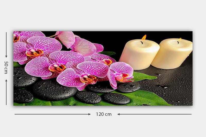 Canvasbilde YTY Floral & Botanical Flerfarget - 120x50 cm - Interiør - Maleri & posters - Lerretsbilder