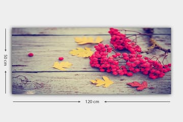 Canvasbilde YTY Floral & Botanical Flerfarget - 120x50 cm - Interiør - Maleri & posters - Lerretsbilder