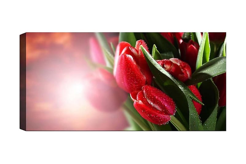 Canvasbilde YTY Floral & Botanical Flerfarget - 120x50 cm - Interiør - Maleri & posters - Lerretsbilder