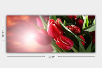 Canvasbilde YTY Floral & Botanical Flerfarget - 120x50 cm - Interiør - Maleri & posters - Lerretsbilder