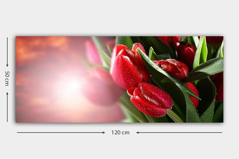 Canvasbilde YTY Floral & Botanical Flerfarget - 120x50 cm - Interiør - Maleri & posters - Lerretsbilder