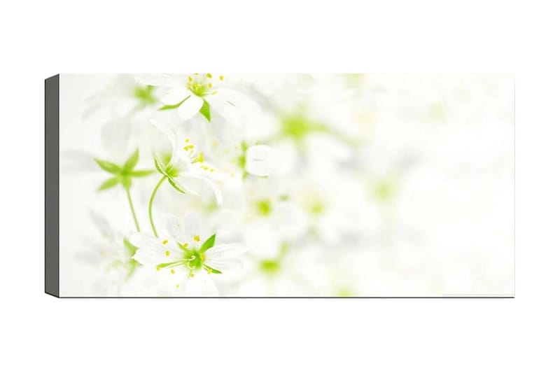 Canvasbilde YTY Floral & Botanical Flerfarget - 120x50 cm - Interiør - Maleri & posters - Lerretsbilder