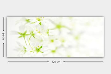 Canvasbilde YTY Floral & Botanical Flerfarget - 120x50 cm - Interiør - Maleri & posters - Lerretsbilder