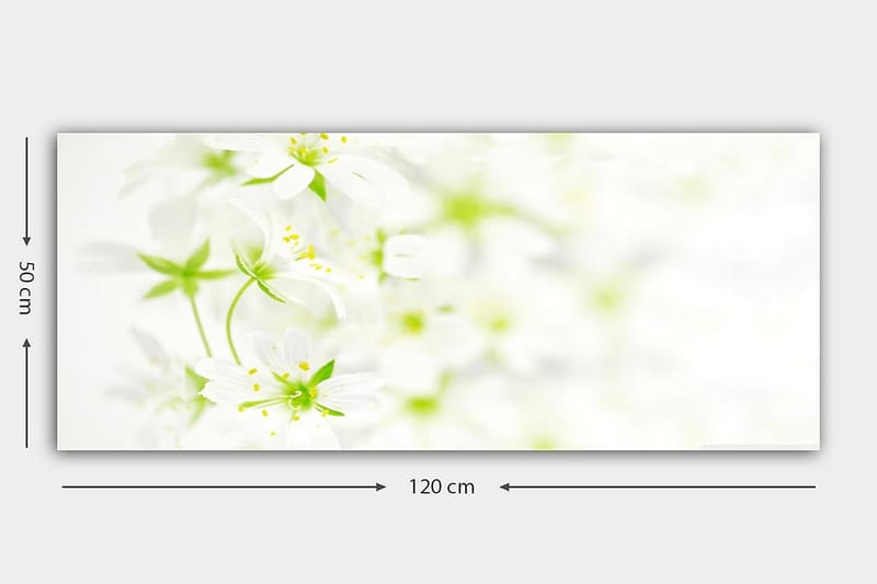 Canvasbilde YTY Floral & Botanical Flerfarget - 120x50 cm - Interiør - Maleri & posters - Lerretsbilder