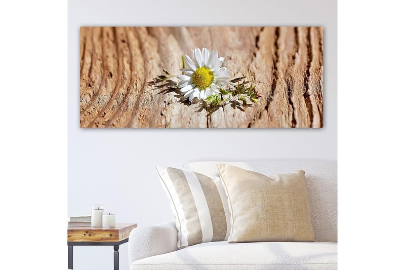 Canvasbilde YTY Floral & Botanical Flerfarget - 120x50 cm - Interiør - Maleri & posters - Lerretsbilder