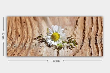 Canvasbilde YTY Floral & Botanical Flerfarget - 120x50 cm - Interiør - Maleri & posters - Lerretsbilder