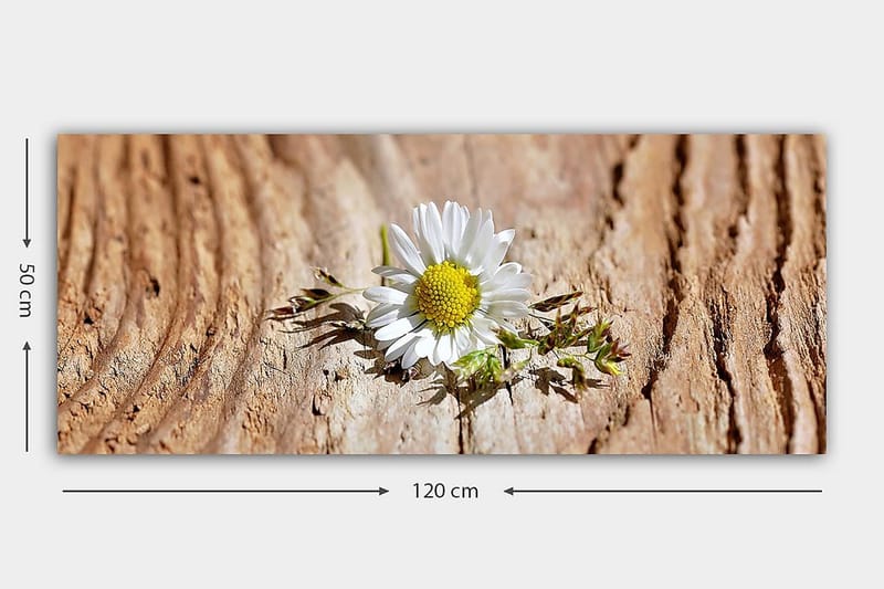 Canvasbilde YTY Floral & Botanical Flerfarget - 120x50 cm - Interiør - Maleri & posters - Lerretsbilder