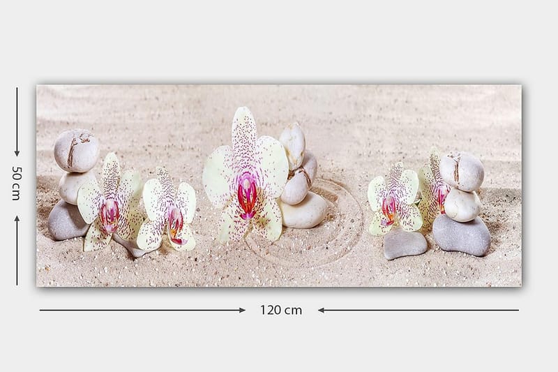 Canvasbilde YTY Floral & Botanical Flerfarget - 120x50 cm - Interiør - Maleri & posters - Lerretsbilder