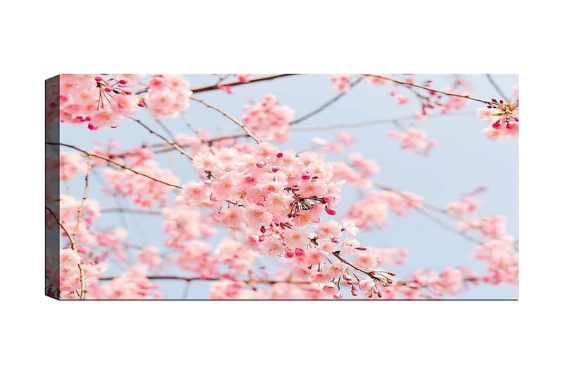 Canvasbilde YTY Floral & Botanical Flerfarget - 120x50 cm - Interiør - Maleri & posters - Lerretsbilder