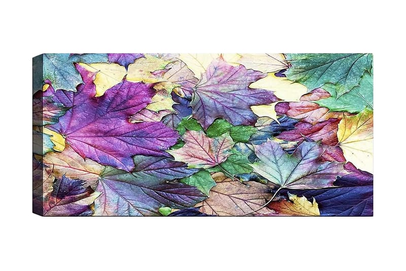 Canvasbilde YTY Floral & Botanical Flerfarget - 120x50 cm - Interiør - Maleri & posters - Lerretsbilder