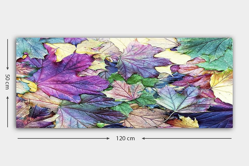 Canvasbilde YTY Floral & Botanical Flerfarget - 120x50 cm - Interiør - Maleri & posters - Lerretsbilder