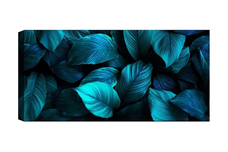Canvasbilde YTY Floral & Botanical Flerfarget - 120x50 cm - Interiør - Maleri & posters - Lerretsbilder