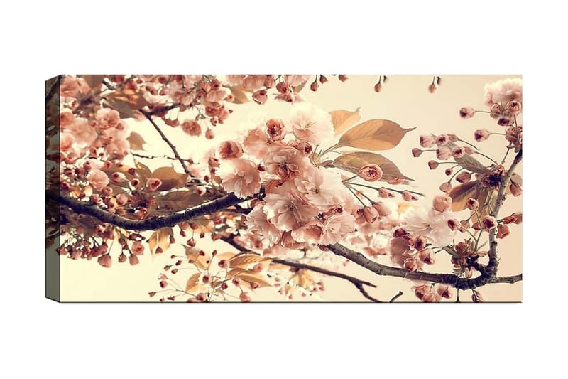 Canvasbilde YTY Floral & Botanical Flerfarget - 120x50 cm - Interiør - Maleri & posters - Lerretsbilder