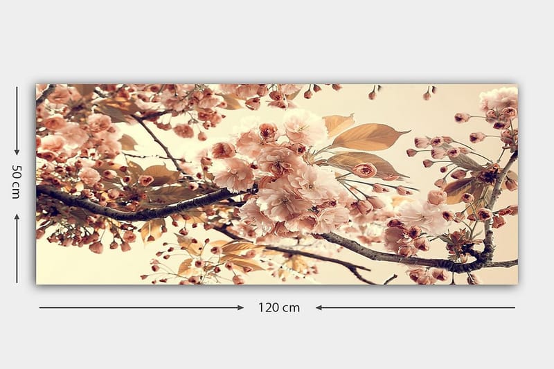 Canvasbilde YTY Floral & Botanical Flerfarget - 120x50 cm - Interiør - Maleri & posters - Lerretsbilder