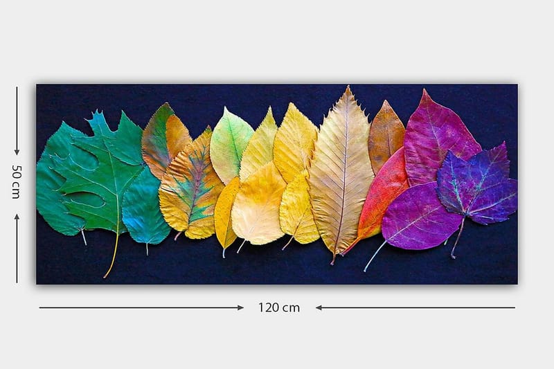 Canvasbilde YTY Floral & Botanical Flerfarget - 120x50 cm - Interiør - Maleri & posters - Lerretsbilder