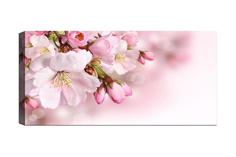 Canvasbilde YTY Floral & Botanical Flerfarget - 120x50 cm - Interiør - Maleri & posters - Lerretsbilder