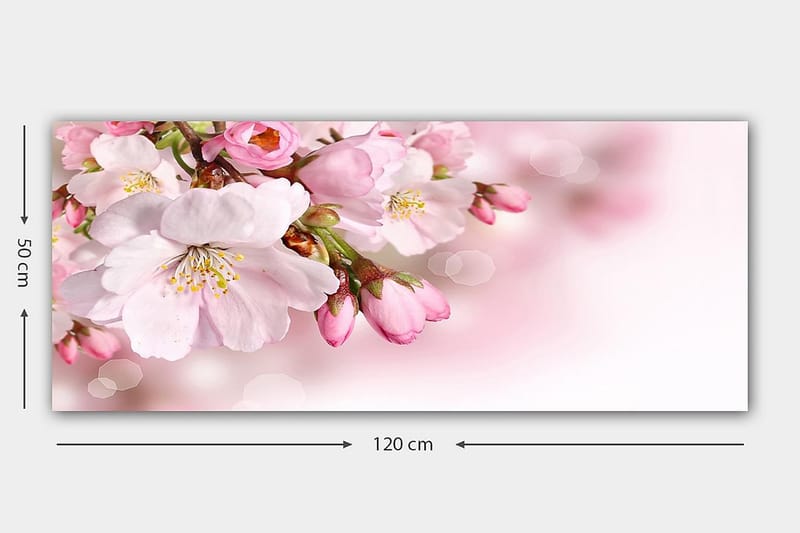 Canvasbilde YTY Floral & Botanical Flerfarget - 120x50 cm - Interiør - Maleri & posters - Lerretsbilder