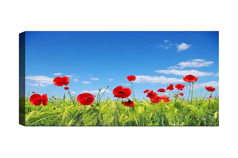 Canvasbilde YTY Floral & Botanical Flerfarget - 120x50 cm - Interiør - Maleri & posters - Lerretsbilder