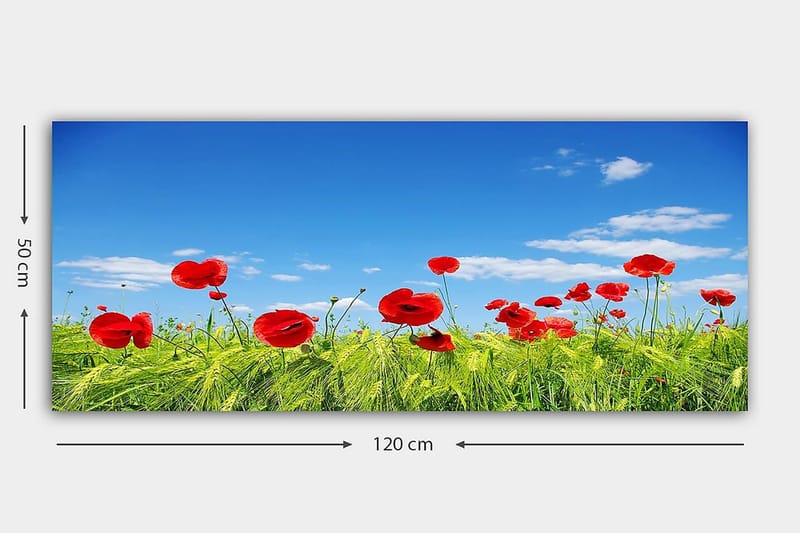 Canvasbilde YTY Floral & Botanical Flerfarget - 120x50 cm - Interiør - Maleri & posters - Lerretsbilder