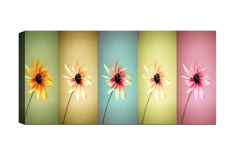 Canvasbilde YTY Floral & Botanical Flerfarget - 120x50 cm - Interiør - Maleri & posters - Lerretsbilder