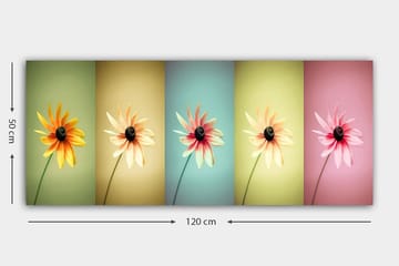 Canvasbilde YTY Floral & Botanical Flerfarget - 120x50 cm - Interiør - Maleri & posters - Lerretsbilder
