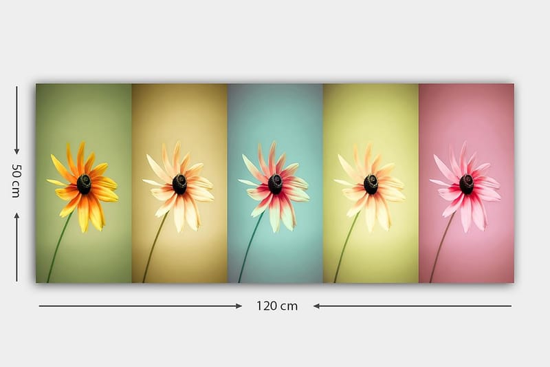 Canvasbilde YTY Floral & Botanical Flerfarget - 120x50 cm - Interiør - Maleri & posters - Lerretsbilder