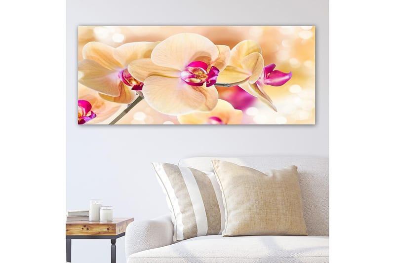 Canvasbilde YTY Floral & Botanical Flerfarget - 120x50 cm - Interiør - Maleri & posters - Lerretsbilder