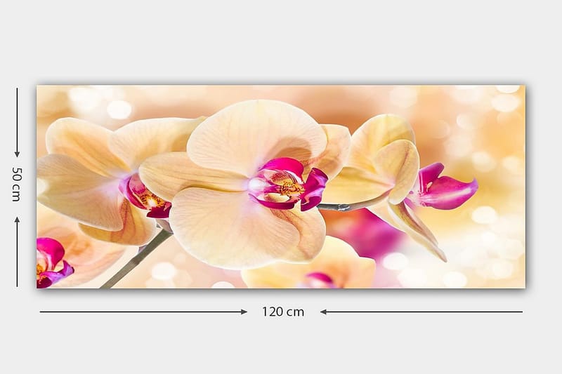 Canvasbilde YTY Floral & Botanical Flerfarget - 120x50 cm - Interiør - Maleri & posters - Lerretsbilder