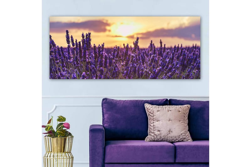 Canvasbilde YTY Floral & Botanical Flerfarget - 120x50 cm - Interiør - Maleri & posters - Lerretsbilder